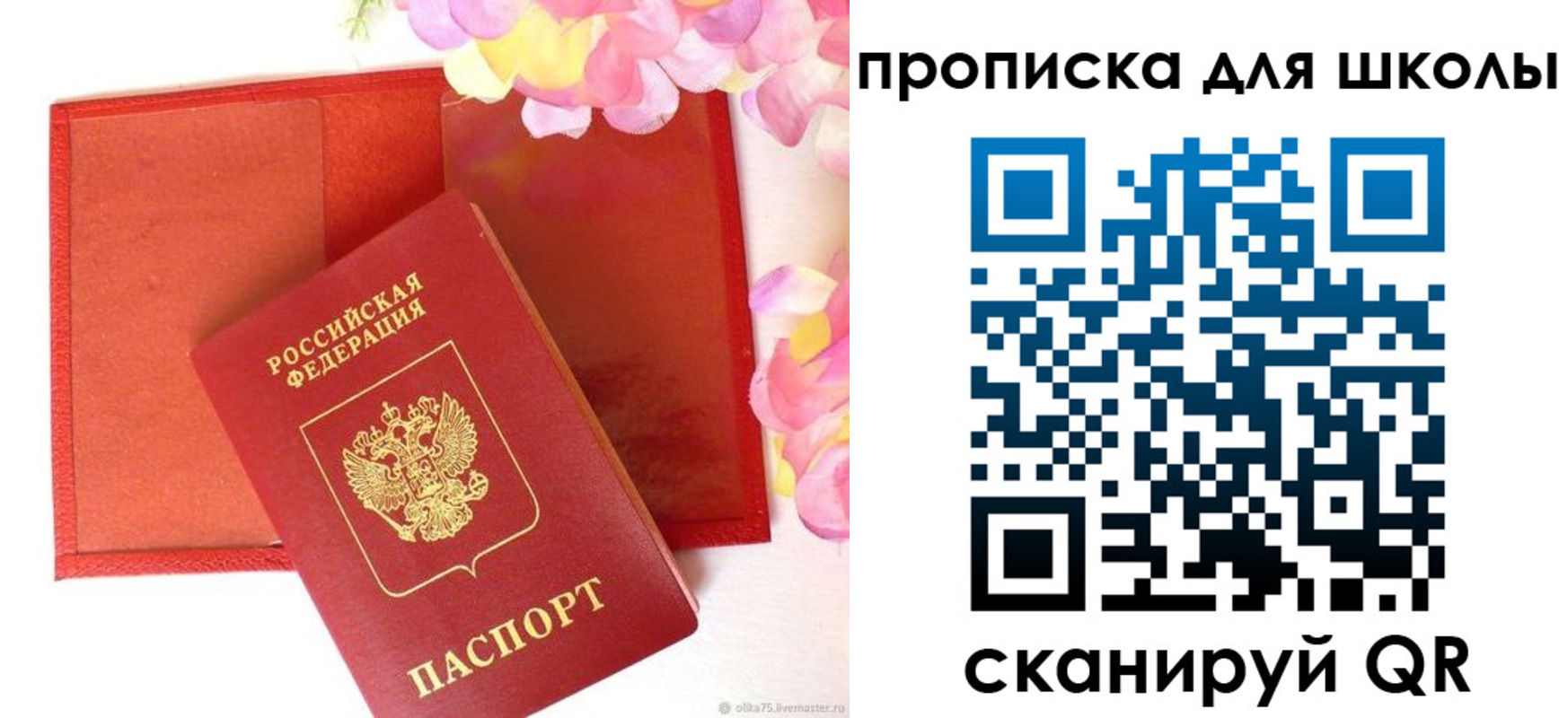 временная регистрация для всех в ЕАО